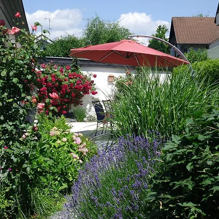 Am Bodensee الدنغن مولهوفن